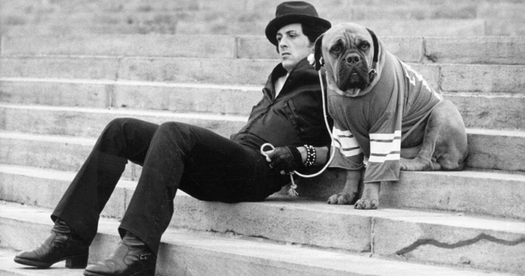 Sylvester Stallone's Dog Sylvester Stallone's Dog